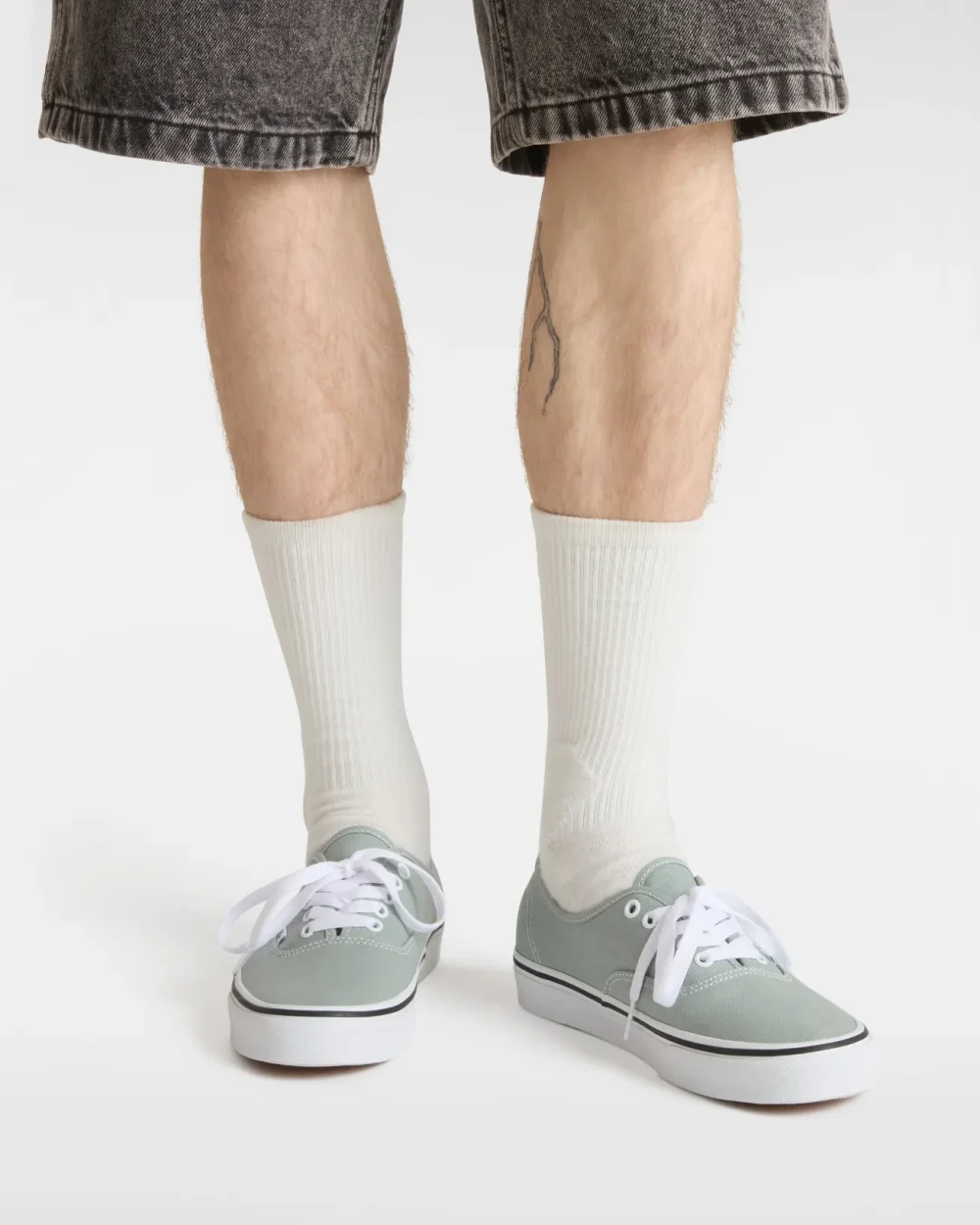 VANS - נעלי סניקרס Authentic – V00D7YEPO – color-theory-pure-grey – 4