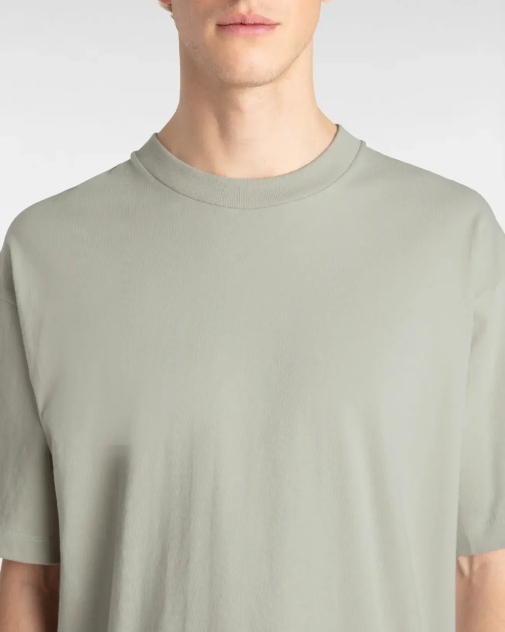 VANS - טי שירט Original Standards – V00P54ZUJ – london-fog – 5