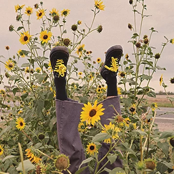 Read more about the article VANS X WADE GOODALL