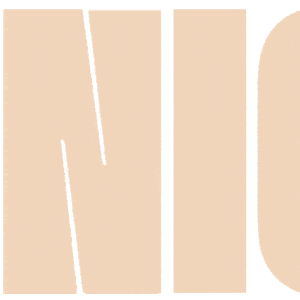 Read more about the article NICE TO SEE YOU